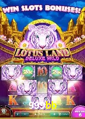 Programa VIP 999bb